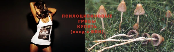 спиды Армянск