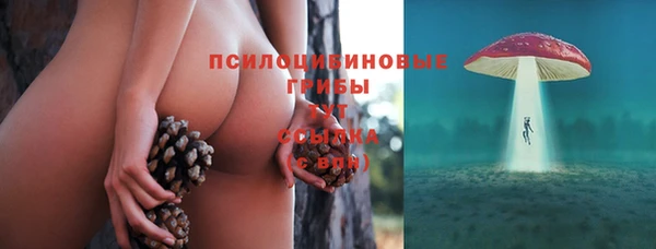 спиды Армянск